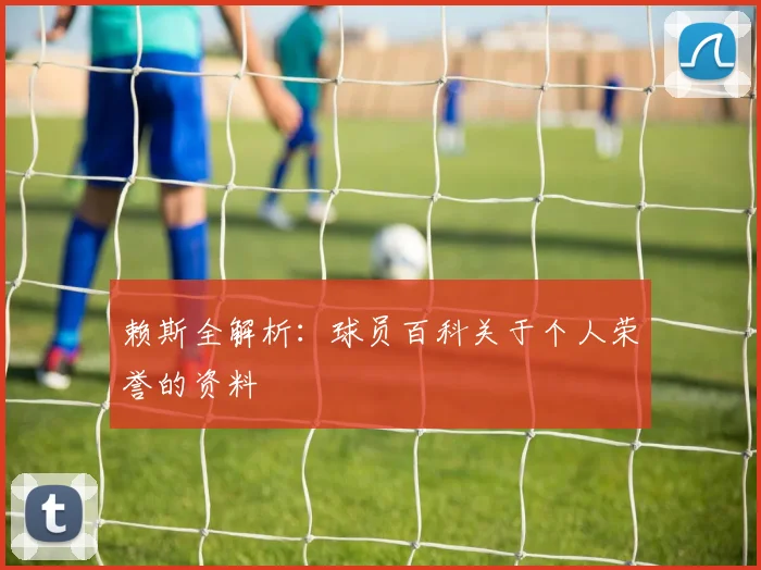 赖斯全解析:球员百科关于个人荣誉的资料
