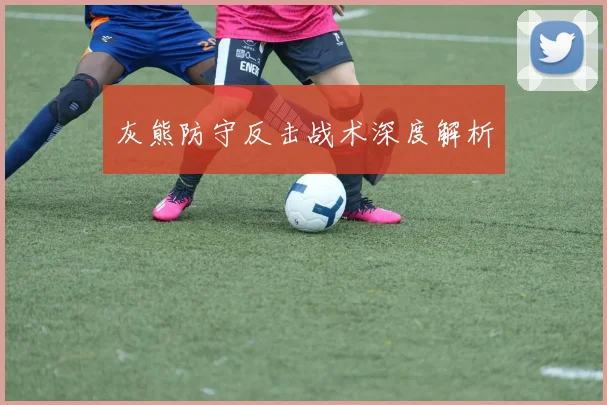 灰熊防守反击战术深度解析