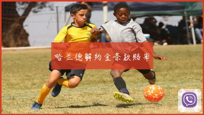 哈兰德解约金条款赔率
