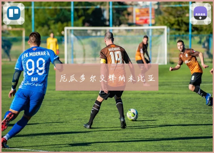 厄瓜多尔交锋纳米比亚