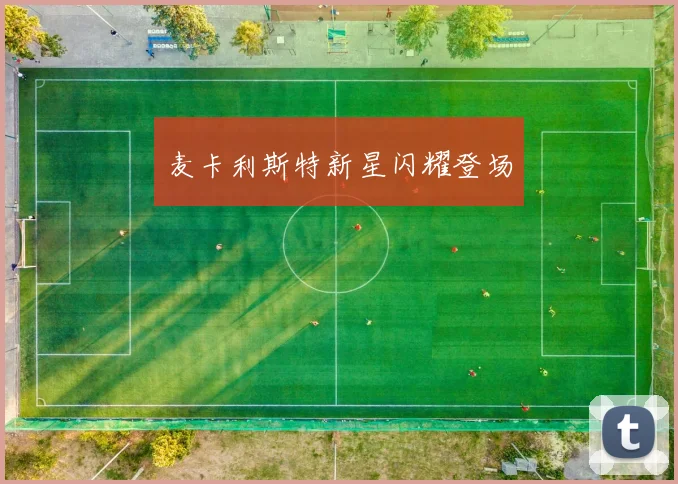 麦卡利斯特新星闪耀登场
