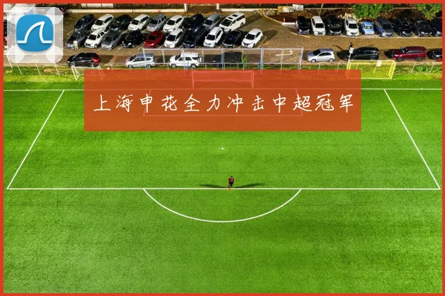上海申花全力冲击中超冠军