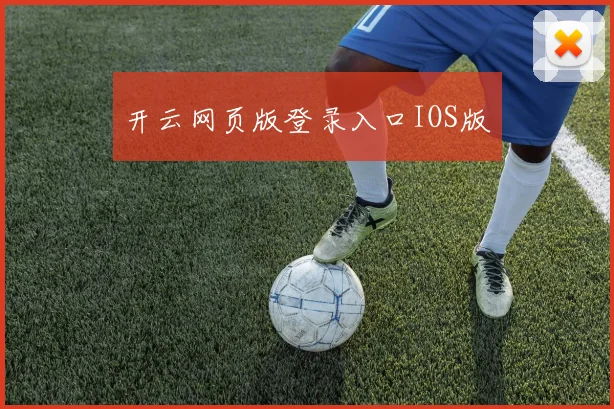 开云网页版登录入口IOS版