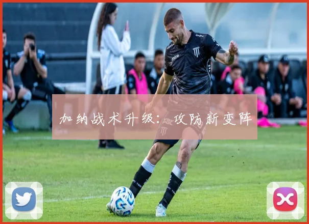 加纳战术升级：攻防新变阵