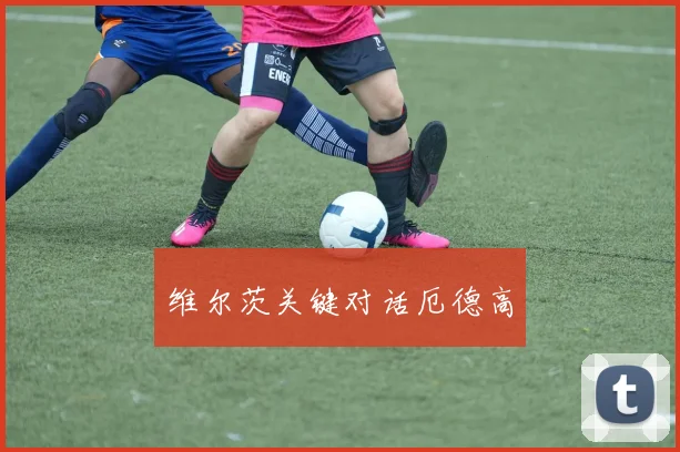 维尔茨关键对话厄德高