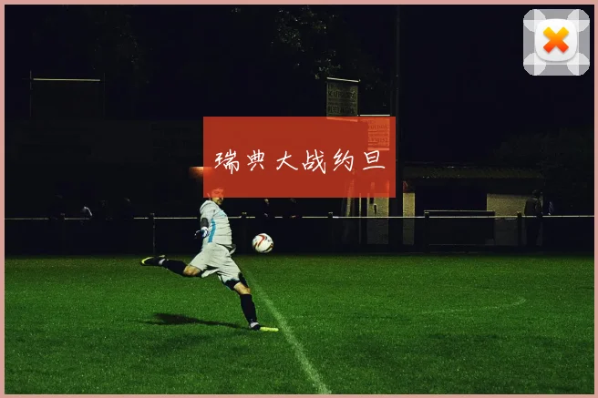 瑞典大战约旦