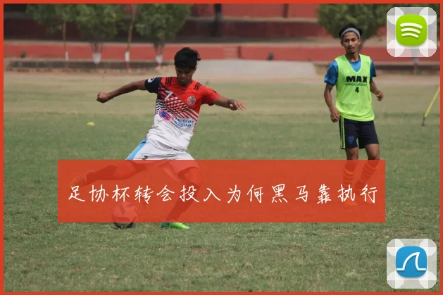 足协杯转会投入为何黑马靠执行