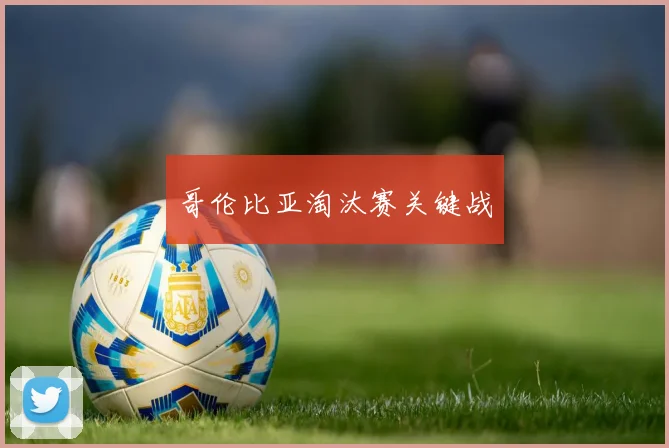 哥伦比亚淘汰赛关键战