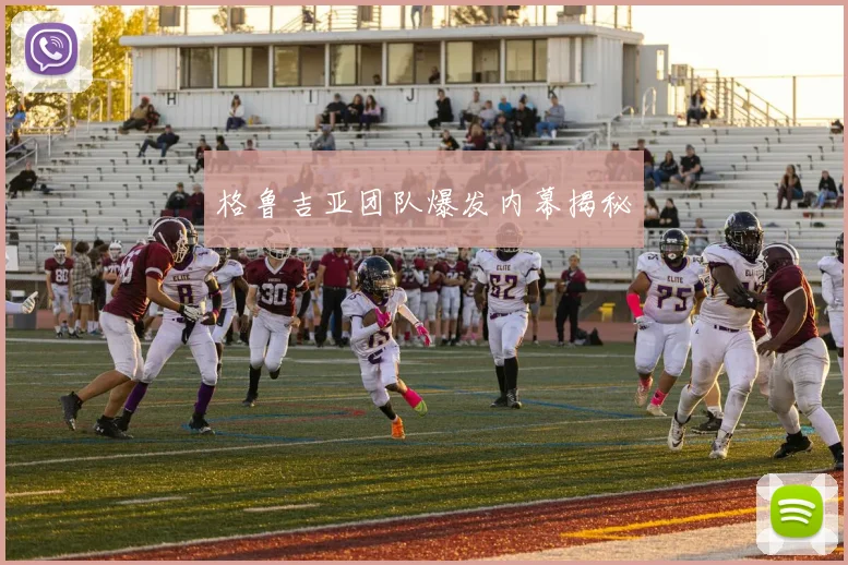 格鲁吉亚团队爆发内幕揭秘