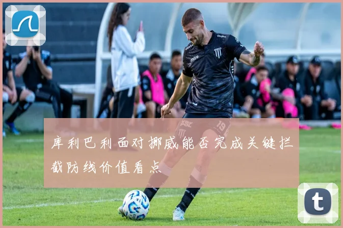 库利巴利面对挪威能否完成关键拦截防线价值看点