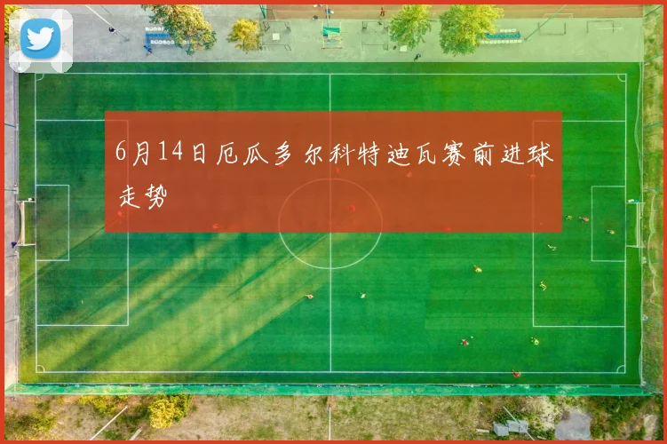 6月14日厄瓜多尔科特迪瓦赛前进球走势