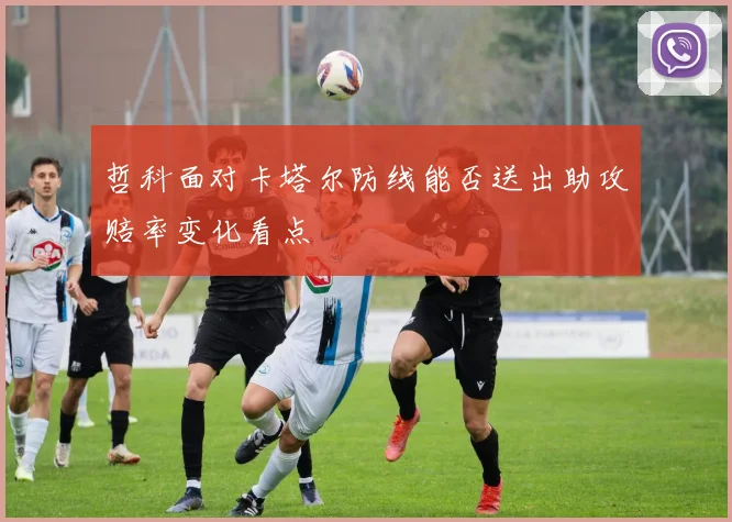 哲科面对卡塔尔防线能否送出助攻赔率变化看点