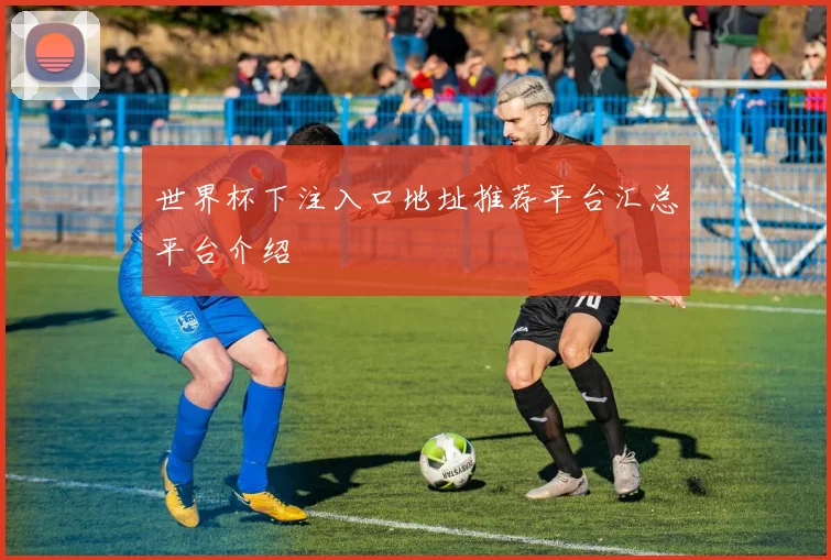 世界杯下注入口地址推荐平台汇总平台介绍