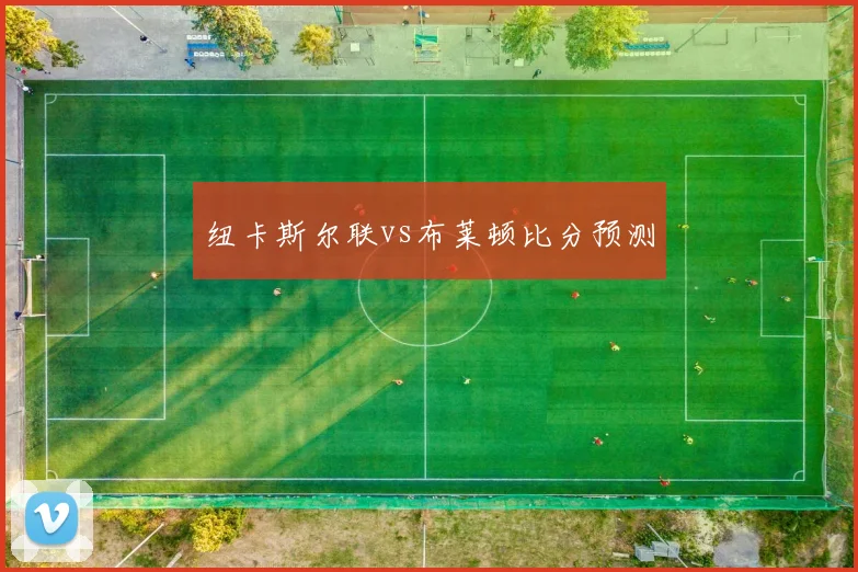 纽卡斯尔联vs布莱顿比分预测