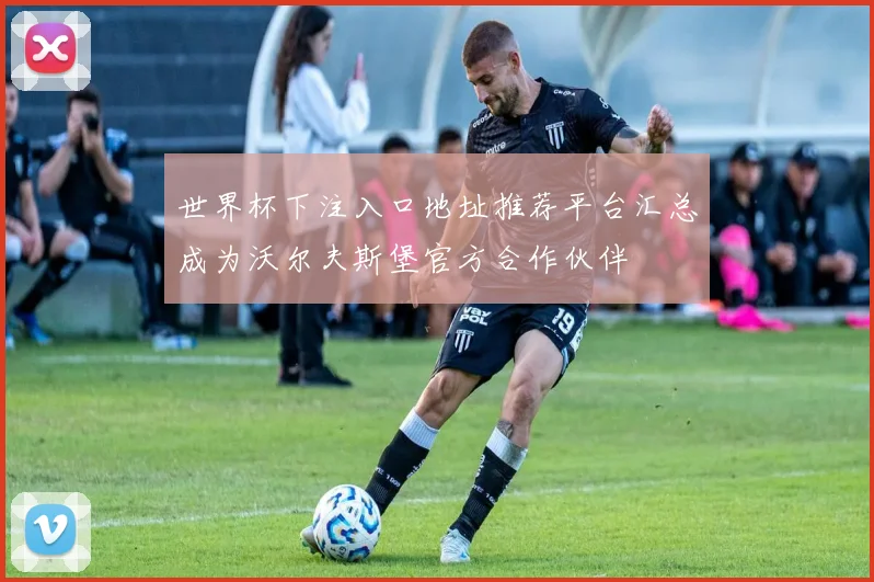世界杯下注入口地址推荐平台汇总成为沃尔夫斯堡官方合作伙伴